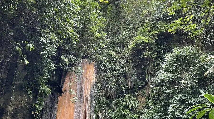 Diamond Falls Botanical Gardens