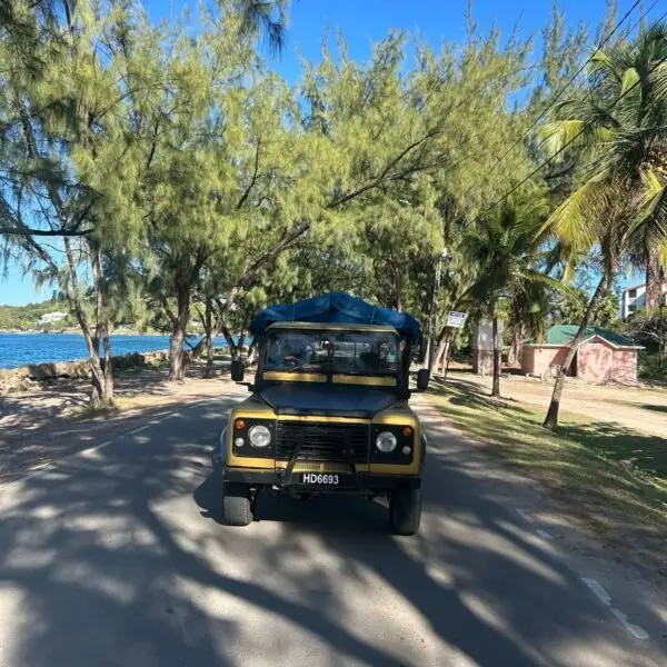 C&M safari vehicle on a shaded road