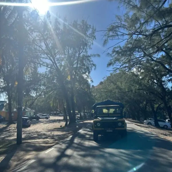 C&M vehicle on a tree-lined road