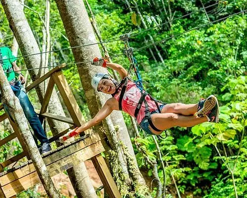 Zip Line