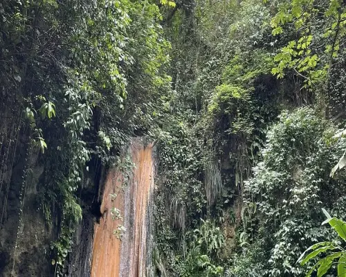 Half Day Tour Terrain Roamer Safari Adventure